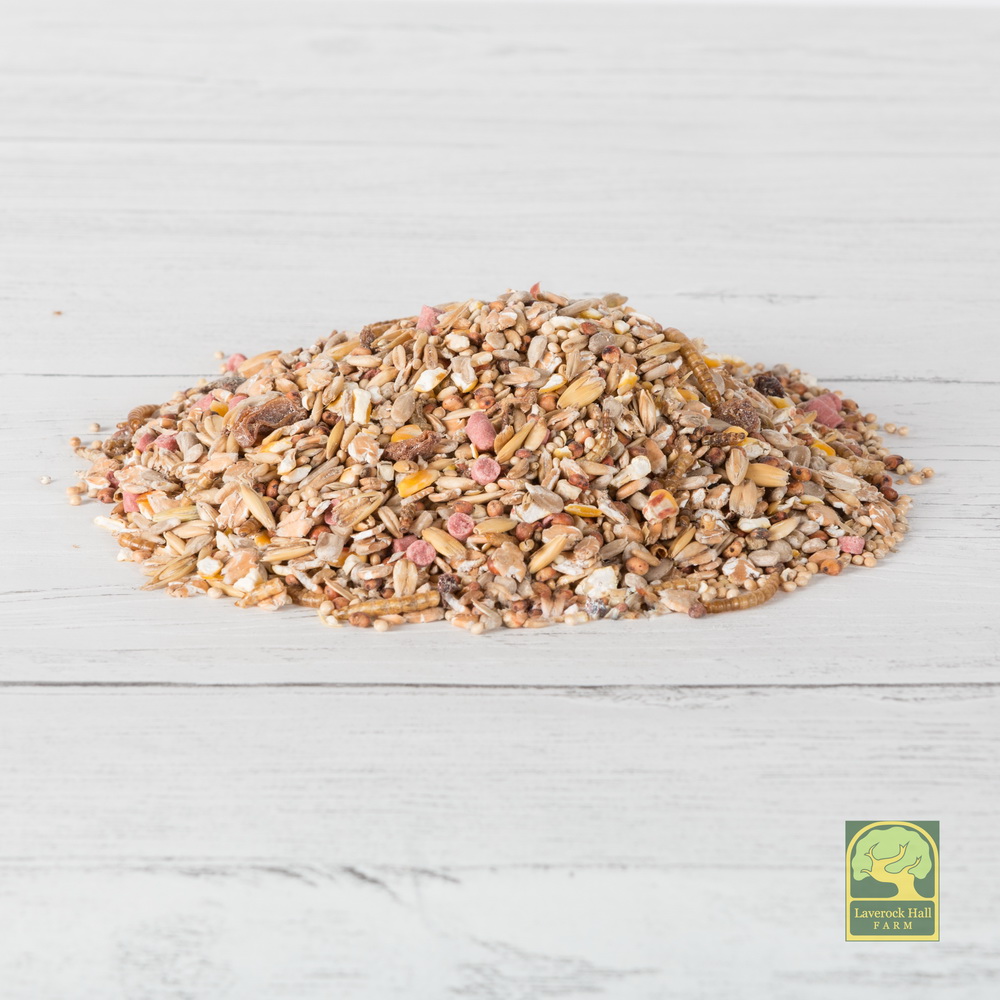 Laverock Bird food - Robin and songbird WBF-1